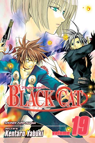 Black Cat Volume 19