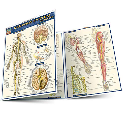 Nervous System Advanced (Quick Study Academic) Misc. Supplies
