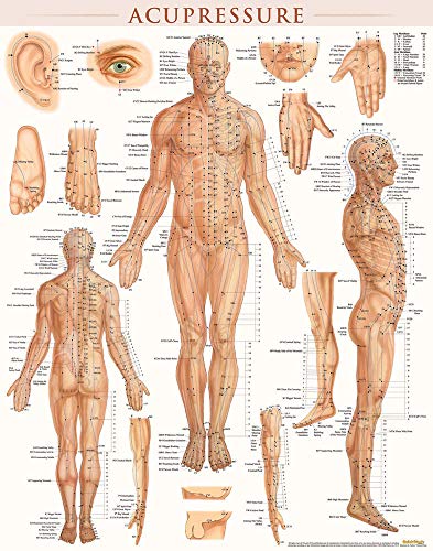 Acupressure Poster (22 x 28 inches) - Laminated: Anatomy of Points for Acupressure & Acupunture