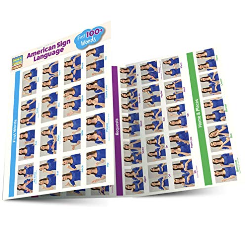 American Sign Language - First 100+ Words (Quick Study Academic)