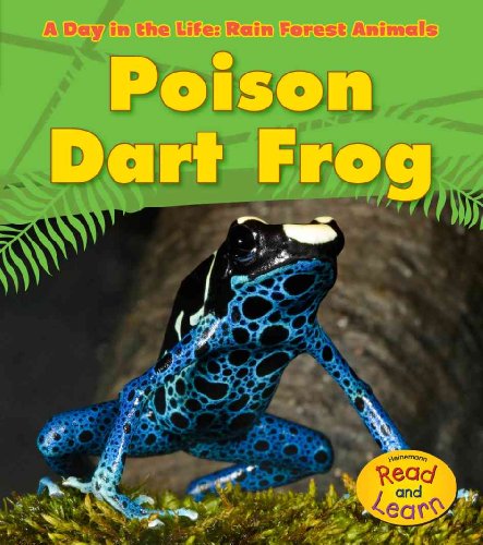 Poison Dart Frog (A Day in the Life: Rain Forest Animals)