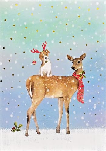 Winter Friends Small Boxed Holiday Cards (20 Cards, 21 Self-Sealing Envelopes)
Winter Friends Small Boxed Holiday Cards (20 Cards, 21 Self-Sealing Envelopes)