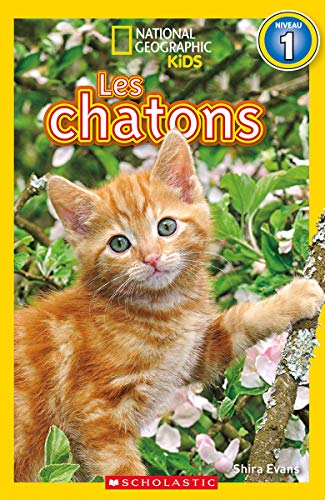 National Geographic Kids: Les Chatons (Niveau 1) (French Edition)