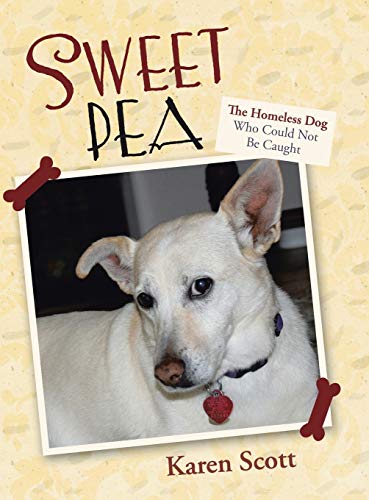 Sweet Pea, The Homeless Dog Who Could Not be Caught