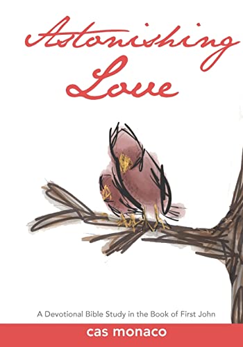 Astonishing Love: A Devotional Bible Study on the book of I John