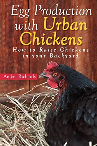 Egg Production With Urban Chickens : How to Raise Chickens in Your Backyard