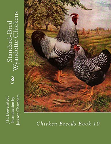 Standard-bred Wyandotte Chickens