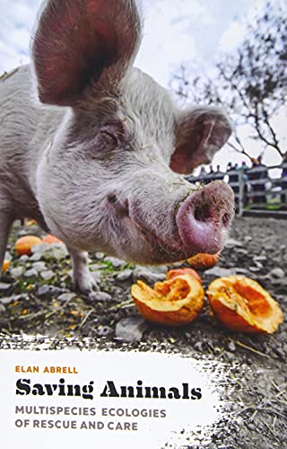 Saving Animals: Multispecies Ecologies of Rescue and Care