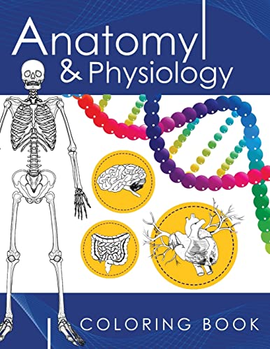 Anatomy & Physiology Coloring Book : A Complete Study Guide