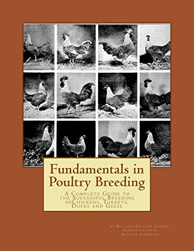 Fundamentals in Poultry Breeding : A Complete Guide to the Successful Breeding of Chickens, Turkeys, Ducks and Geese
Fundamentals in Poultry Breeding : A Complete Guide to the Successful Breeding of Chickens, Turkeys, Ducks and Geese