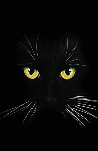 Journal: Black Cat on Black Background: Lined Journal, 120 Pages, 5.5 x 8.5, Black Cat, Soft Cover, Matte Finish, Black Background (Cat Journals)
Journal: Black Cat on Black Background: Lined Journal, 120 Pages, 5.5 x 8.5, Black Cat, Soft Cover, Matte Finish, Black Background (Cat Journals)