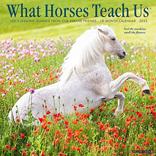 What Horses Teach Us 2023 Wall Calendar (Calendar)