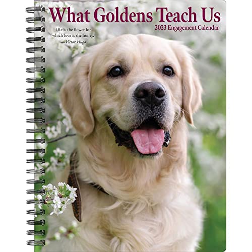 What Goldens Teach Us 2023 Engagement Calendar