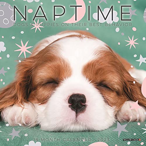Naptime (Dogs) 2023 Mini Wall Calendar