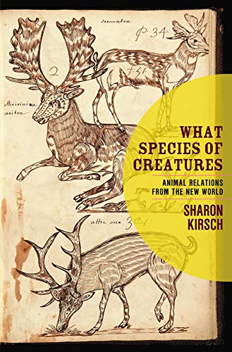 What Species Of Creatures: Animal Relations from the New World