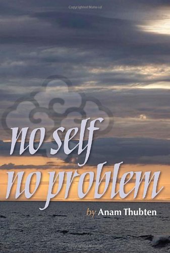 No Self No Problem: Awakening to Our True Nature
