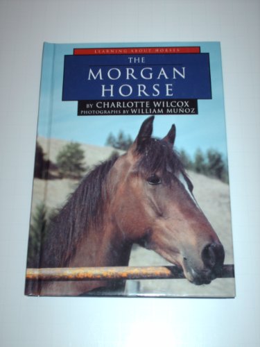 The Morgan Horse