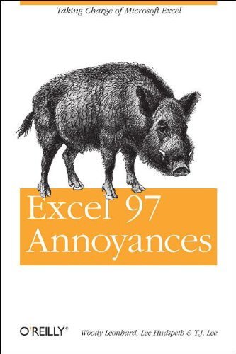 Excel 97 Annoyances (Nutshell Handbooks)