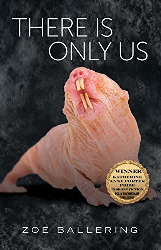 There Is Only Us (Volume 21) (Katherine Anne Porter Prize in Short Fiction)