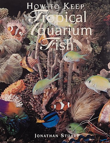 How to Keep Tropical Aquarium Fish