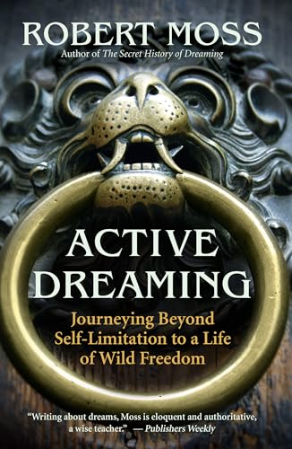 Active Dreaming Format: Hardcover