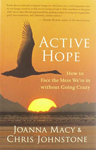 Active Hope: How to Face the Mess We're in without Going Crazy