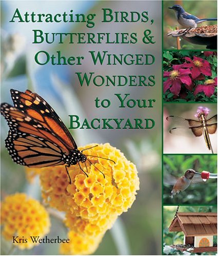 Attracting Birds, Butterflies and Other Winged Wonders to Your Backyard