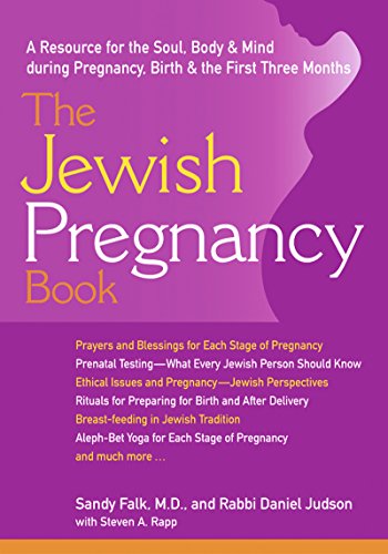 THE JEWISH PREGNANCY BOOK a Resource for the Soul, Body & Mind During Pregnancy, Birth & the Firs...