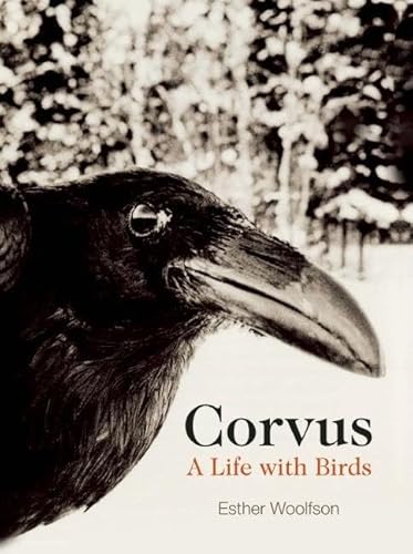 Corvus : A Life with Birds