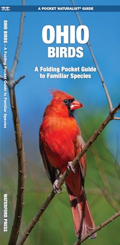 Ohio Birds: A Folding Pocket Guide to Familiar Species (Wildlife and Nature Identification)