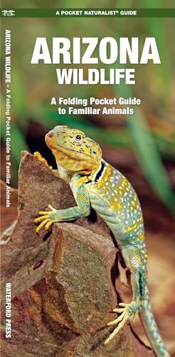 Arizona Wildlife: A Folding Pocket Guide to Familiar Animals (Wildlife and Nature Identification)