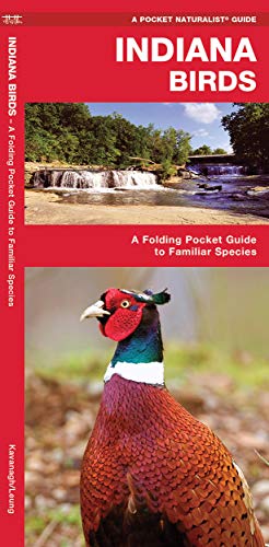 Indiana Birds: A Folding Pocket Guide to Familiar Species (Wildlife and Nature Identification)
Indiana Birds: A Folding Pocket Guide to Familiar Species (Wildlife and Nature Identification)