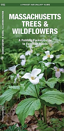 Massachusetts Trees & Wildflowers: A Folding Pocket Guide to Familiar Plants (Wildlife and Nature Identification)
Massachusetts Trees & Wildflowers: A Folding Pocket Guide to Familiar Plants (Wildlife and Nature Identification)