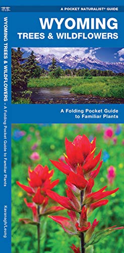 Wyoming Trees and Wildflowers : A Folding Pocket Guide to Familiar Species