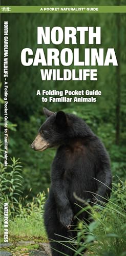 Maine Wildlife: A Folding Pocket Guide to Familiar Animals (Wildlife and Nature Identification)