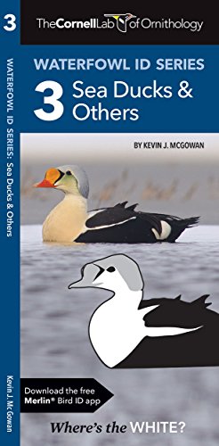 Waterfowl ID Series: 3 Sea Ducks & Others (Wildlife and Nature Identification)