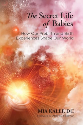 Secret Life of Babies : How Our Prebirth and Birth Experiences Shape Our World