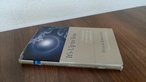 It's Up to You: The Practice of Self-Reflection on the Buddhist Path