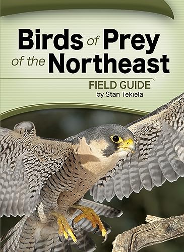 Birds of Prey of the Northeast Field Guide (Paperback or Softback)