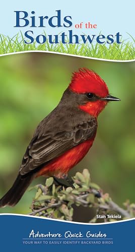Birds of the Southwest: Your Way to Easily Identify Backyard Birds (Adventure Quick Guides)
Birds of the Southwest: Your Way to Easily Identify Backyard Birds (Adventure Quick Guides)