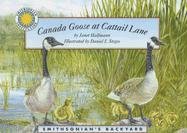 Canada Goose at Cattail Lane (Smithsonian's Backyard)