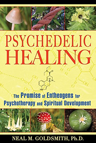 Psychedelic Healing - The Promise of Entheogens for Psychotherapy and Spiritual Development
