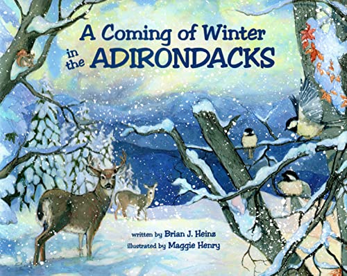 A Coming Of Winter In The Adirondacks