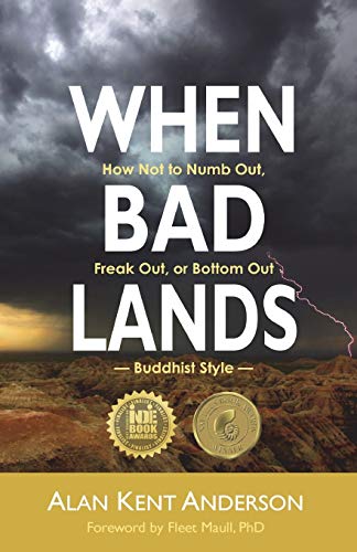When Bad Lands : How Not to Numb Out, Freak Out, or Bottom Out - Buddhist Style