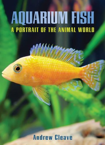 Aquarium Fish: A Portrait of the Animal World