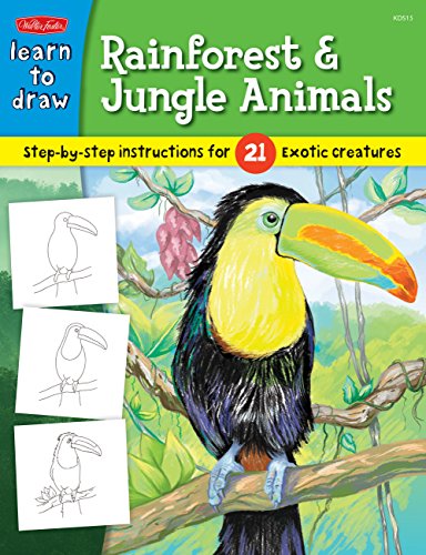Learn to Draw Rainforest & Jungle Animals