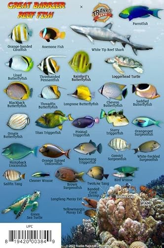Great Barrier Reef Creatures Guide Waterproof Fish Card Franko Maps 4" x 6"