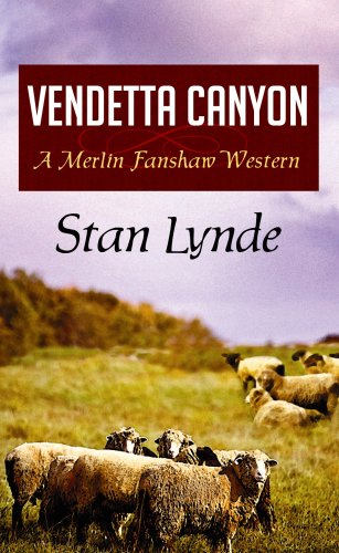 Vendetta Canyon (Center Point Premier Western (Large Print))