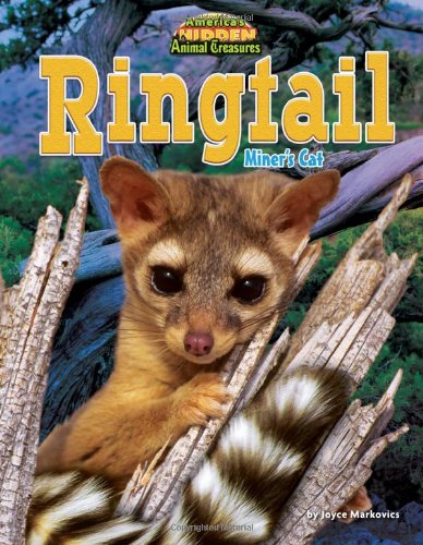 Ringtail: Miner's Cat (America's Hidden Animal Treasures)