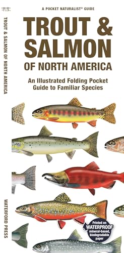 Trout & Salmon of North America : A Waterproof Folding Pocket Guide to Familiar Species
Trout & Salmon of North America : A Waterproof Folding Pocket Guide to Familiar Species